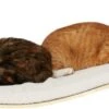 COSY AND DOZY Cat Shelf Deluxe WIT – Hangmat Kat – Maple Hout - 90 X 41 Cm - Kattenplank - Katten Muur 2 COSY AND DOZY Cat Shelf Deluxe WIT – Hangmat Kat – Maple Hout - 90 X 41 Cm - Kattenplank - Katten Muur -Huisdier Verkoop 1200x417 4