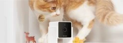Petcube Pet Camera 1080p Hd Video Night Vision - IP Camera's - Wit -Huisdier Verkoop 1200x423