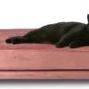 Maxxpro Katten- En Hondenbank - Roze - Verhoogd Met Houten Poten - Fluweel Materiaal - 90 X 44 X 34 CM - Huisdieren Tot 80 KG 2 Maxxpro Katten- En Hondenbank - Roze - Verhoogd Met Houten Poten - Fluweel Materiaal - 90 X 44 X 34 CM - Huisdieren Tot 80 KG -Huisdier Verkoop 1200x585 4