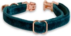 ACE Pets Kattenhalsband Met Belletje – Halsband Kat & Kitten - Kittenhalsband & Kattenbandje - Kattenbelletje - Pluche Velvet - Groen 10 ACE Pets Kattenhalsband Met Belletje – Halsband Kat & Kitten - Kittenhalsband & Kattenbandje - Kattenbelletje - Pluche Velvet - Groen -Huisdier Verkoop 1200x611 5