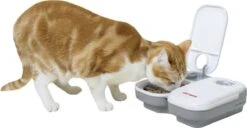 Cat Mate C200 - Automatische Voerbak - Voerbak - Voerautomaat - Voerbak Kat - Voerbak Hond - Voerbak Met Timer - Voerautomaat Kat - Voerautomaat Hond - Wit -Huisdier Verkoop 1200x624