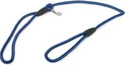 Merkloos Slipriem - Nylon - Riem Voor Hond - Blauw 10 Merkloos Slipriem - Nylon - Riem Voor Hond - Blauw -Huisdier Verkoop 1200x629