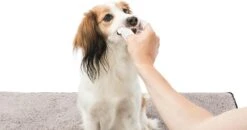 Trixie Verzorgingsvinger - 50 Stuks -Huisdier Verkoop 1200x630