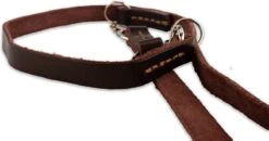 Multifunctionele Hondenriem - 220cm - Bruin - Leren Hondenriem - 100% Volnerfleer - Hondenriem Leer - Leiband Hond -Huisdier Verkoop 1200x631