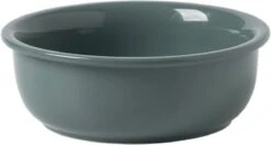 GIZMO 2x Voerbak Kat/Hond (Groot) - 800ML - Donkergroen - Keramische Drink- & Voerbakken Met Standaard - 17.5 Cm - 2 Stuks -Huisdier Verkoop 1200x639 1