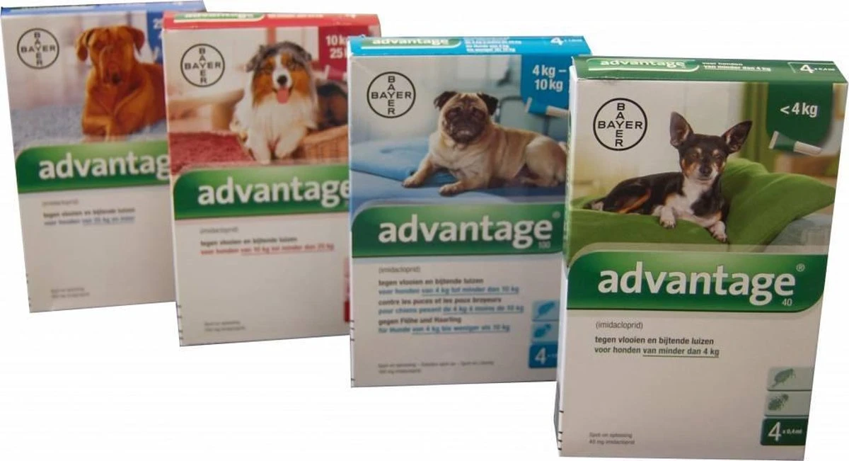 Bayer Advantage 100 Hond 4-10 Kg - 4 Pipetten à 1,0 Ml 18 Bayer Advantage 100 Hond 4-10 Kg - 4 Pipetten à 1,0 Ml - Afbeelding 16