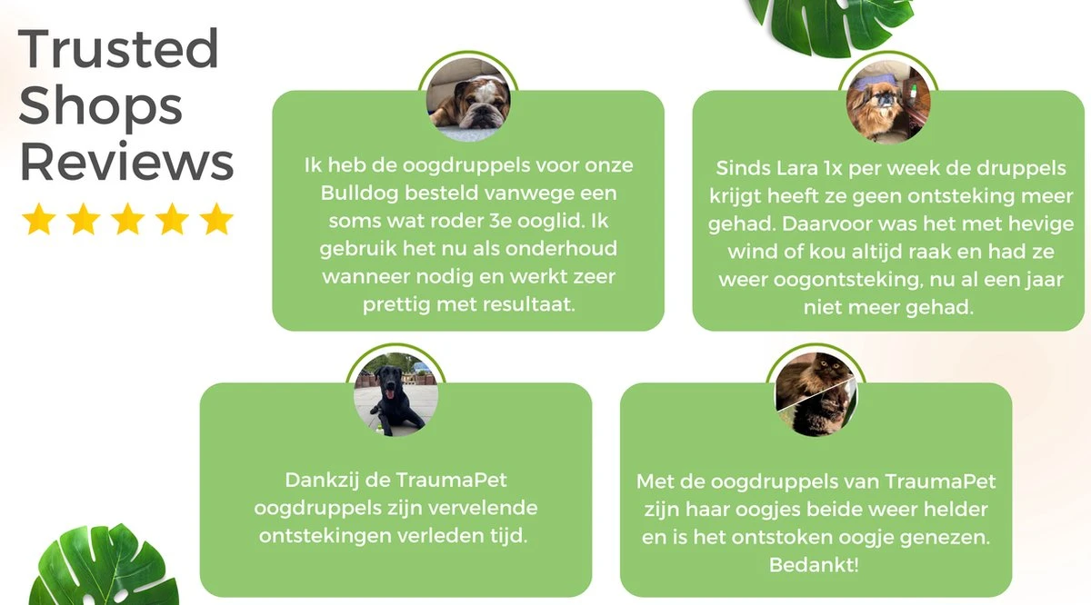 TraumaPet Oogdruppels Met Colloïdaal Zilver Voor Dieren | Bij Rode Ogen | Geïrriteerde Ogen | Traanstrepen | Conjunctivitis | Preventieve Reiniging 4 TraumaPet Oogdruppels Met Colloïdaal Zilver Voor Dieren | Bij Rode Ogen | Geïrriteerde Ogen | Traanstrepen | Conjunctivitis | Preventieve Reiniging - Afbeelding 2