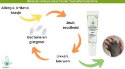 TraumaPet Huidcrème Met Colloïdaal Zilver En Bijenwas | Bij Eczeem | Jeuk | Irritaties | Hotspot | Tussenteenontsteking | Dieren -Huisdier Verkoop 1200x666 8