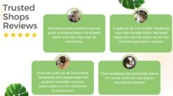 TraumaPet Tandpasta Met Colloïdaal Zilver Voor Dieren | Met Vleessmaak | Bij Stinkende Adem | Tandplak | Geïrriteerd Tandvlees | Tandsteen -Huisdier Verkoop 1200x666 9