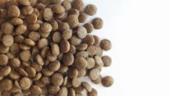 Carocroc Kat Senior 7 Kg 13 Carocroc Kat Senior 7 Kg -Huisdier Verkoop 1200x675 13