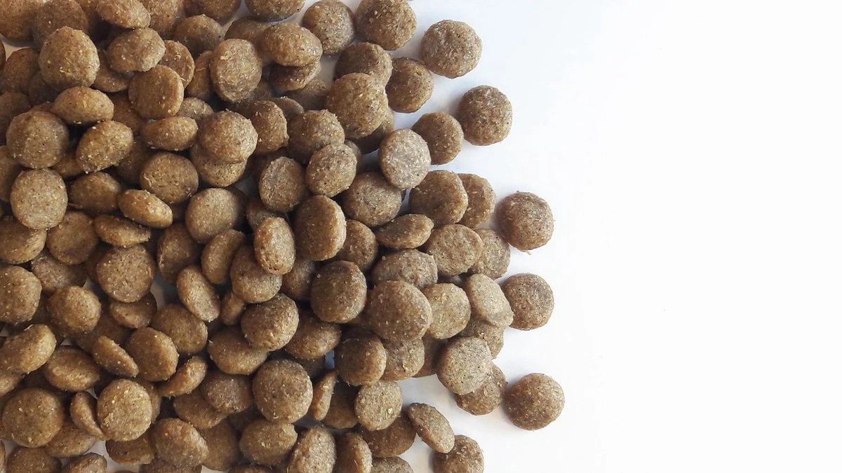 Carocroc Kat Senior 7 Kg 7 Carocroc Kat Senior 7 Kg - Afbeelding 5