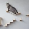 Plankjes Voor De Kat - Kattenplankjes - Muurplankjes - Klimmuur Kat - Katten Klimmuur - Loopplankjes Kat - Kattenmuur - Katten Klimwand - Huisje Rechts -Huisdier Verkoop 1200x675 14