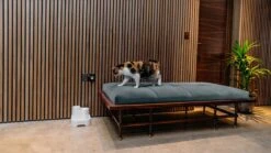 Cat Mate - Waterfontein Kat - Kattenfontein - Drinkfontein Kat - Fluisterstil - Poezen Fontein - Dieren Drinkbakken - Honden Fontein - 2 L 19 Cat Mate - Waterfontein Kat - Kattenfontein - Drinkfontein Kat - Fluisterstil - Poezen Fontein - Dieren Drinkbakken - Honden Fontein - 2 L -Huisdier Verkoop 1200x675 19