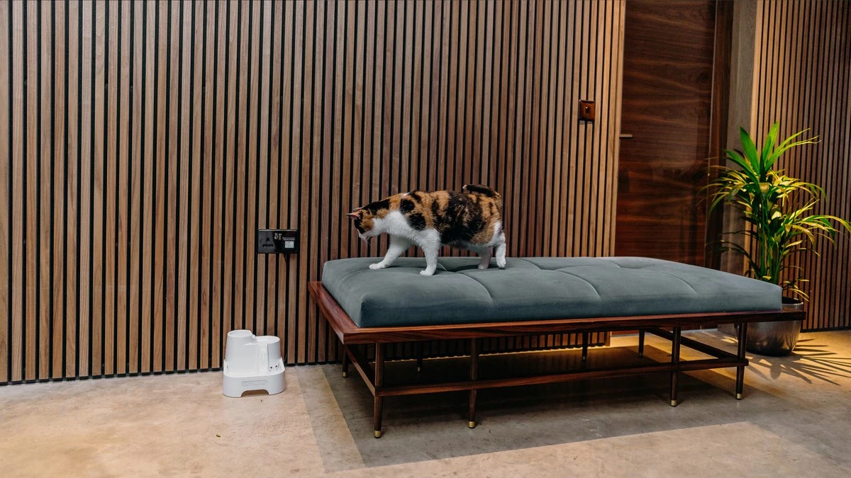 Cat Mate - Waterfontein Kat - Kattenfontein - Drinkfontein Kat - Fluisterstil - Poezen Fontein - Dieren Drinkbakken - Honden Fontein - 2 L 9 Cat Mate - Waterfontein Kat - Kattenfontein - Drinkfontein Kat - Fluisterstil - Poezen Fontein - Dieren Drinkbakken - Honden Fontein - 2 L - Afbeelding 7