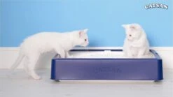 Catsan Hygiene Plus - Kattenbakvulling Geurabsorberend - 20 L -Huisdier Verkoop 1200x675 21