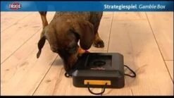 Trixie Dogtoy Dog Activity Strategy Game Gamble Box - Piepend Speelgoed - 15cm X 15cm X 9cm - Zwart/rood/oranje -Huisdier Verkoop 1200x675 8