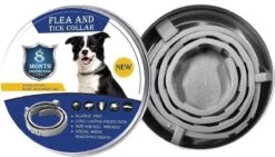 BESTE Middel TEGEN Vlooien En Teken Vlooien - Teken - Halsband - Honden - Katten - Halsbanden - 8 Maanden - Waterdicht - Vlooien Band - Vlooien Teken Band