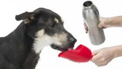 KONG H2O 740 Ml Rvs Waterfles Zwart -Huisdier Verkoop 1200x684 2