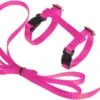Kattentuigje Met Looplijn Kattenharnas Kittentuigje Kattenriem Met Looplijn Kat Kitten Tuigje Verstelbaar - Roze 2 Kattentuigje Met Looplijn Kattenharnas Kittentuigje Kattenriem Met Looplijn Kat Kitten Tuigje Verstelbaar - Roze -Huisdier Verkoop 1200x687 6