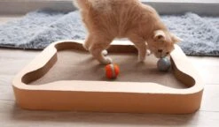 Cheerble Mini Ball 2.0 - Slimme Interactieve Zelf Rollende Bal Voor Katten - 3 Speelmodi - Kattenspeeltjes - USB Oplaadbaar - Rood 25 Cheerble Mini Ball 2.0 - Slimme Interactieve Zelf Rollende Bal Voor Katten - 3 Speelmodi - Kattenspeeltjes - USB Oplaadbaar - Rood -Huisdier Verkoop 1200x699 1