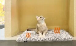 Merkloos Zelfverwarmende Dierendeken Zonder Stroom Thermo Deken Hond Kat Inclusief Adreslabel 70 X 47 Cm -Huisdier Verkoop 1200x730 3