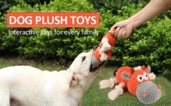 Merkloos Hondenknuffel - Interactief Piepspeelgoed Voor Honden - Teddy - Stoer Hondenkauwspeelgoed - Met Katoenen Materiaal En Gekreukt Papier - Hondenspeelgoed Voor Grote En Kleine Honden 14 Merkloos Hondenknuffel - Interactief Piepspeelgoed Voor Honden - Teddy - Stoer Hondenkauwspeelgoed - Met Katoenen Materiaal En Gekreukt Papier - Hondenspeelgoed Voor Grote En Kleine Honden -Huisdier Verkoop 1200x742 4