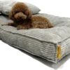 Orthopedisch Hondenkussen Grijs - Hondenmand Ribstof Premium L - Luxe Hondenbed 100x70cm - Grijs Tot 40 KG 1 Orthopedisch Hondenkussen Grijs - Hondenmand Ribstof Premium L - Luxe Hondenbed 100x70cm - Grijs Tot 40 KG -Huisdier Verkoop 1200x743 2