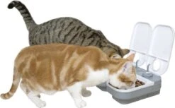 Cat Mate C200 - Automatische Voerbak - Voerbak - Voerautomaat - Voerbak Kat - Voerbak Hond - Voerbak Met Timer - Voerautomaat Kat - Voerautomaat Hond - Wit -Huisdier Verkoop 1200x744 2