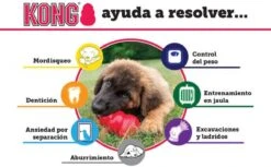 Kong Kauwbot - Hondenspeelgoed - Rood - M 32 Kong Kauwbot - Hondenspeelgoed - Rood - M -Huisdier Verkoop 1200x745 3