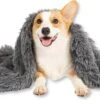 Fluffy Blanket - Pluche Hondendeken - 120 X 100 CM - Grijs - Voor De Auto Of Bank - Fleece 2 Fluffy Blanket - Pluche Hondendeken - 120 X 100 CM - Grijs - Voor De Auto Of Bank - Fleece -Huisdier Verkoop 1200x749 2
