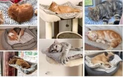 Merkloos Zelfverwarmende Dierendeken Zonder Stroom Thermo Deken Hond Kat Inclusief Adreslabel 70 X 47 Cm -Huisdier Verkoop 1200x751 5