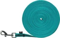 Trixie Hondenriem Sleeplijn Met Rubber Turquoise 12 Trixie Hondenriem Sleeplijn Met Rubber Turquoise -Huisdier Verkoop 1200x762 1
