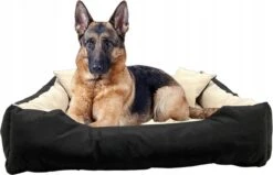 Ecco - Honden- En Kattenbed Met Kussen | Binnenmaat: 130x100 / Buitenmaat: 145x115cm - Beige / Zwart -Huisdier Verkoop 1200x772 3