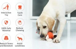 Merkloos Hondenknuffel - Interactief Piepspeelgoed Voor Honden - Teddy - Stoer Hondenkauwspeelgoed - Met Katoenen Materiaal En Gekreukt Papier - Hondenspeelgoed Voor Grote En Kleine Honden 17 Merkloos Hondenknuffel - Interactief Piepspeelgoed Voor Honden - Teddy - Stoer Hondenkauwspeelgoed - Met Katoenen Materiaal En Gekreukt Papier - Hondenspeelgoed Voor Grote En Kleine Honden -Huisdier Verkoop 1200x777 3