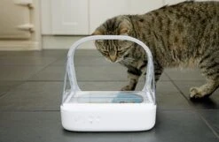 Surefeed Microchip Pet Feeder - Voerbak - 30 X 23 X 22 Cm -Huisdier Verkoop 1200x780 7