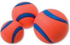 Chuckit! Chuckit Ultra Ball - XXL - 11 Cm 28 Chuckit! Chuckit Ultra Ball - XXL - 11 Cm -Huisdier Verkoop 1200x781 3