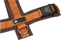 Anny.X Hondentuig Y Tuig Bruin Barnsteen Maat L Geschikt Voor Borstomvang 70-86cm 12 Anny.X Hondentuig Y Tuig Bruin Barnsteen Maat L Geschikt Voor Borstomvang 70-86cm -Huisdier Verkoop 1200x789 4