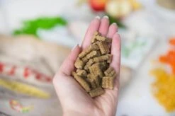 Kivo Petfood Hondenbrokken Kip & Pens 14 Kg Koudgeperst - Glutenvrij -Huisdier Verkoop 1200x799 18