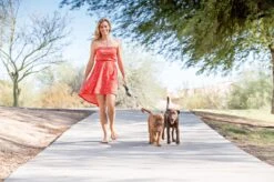 Wigzi Dual Doggie 2.0 Voor Twee Honden - Hondenriem - Grijs - 3m - <22 Kg (per Hond) -Huisdier Verkoop 1200x799 2