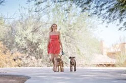 Wigzi Dual Doggie 2.0 Voor Twee Honden - Hondenriem - Grijs - 3m - <22 Kg (per Hond) -Huisdier Verkoop 1200x799