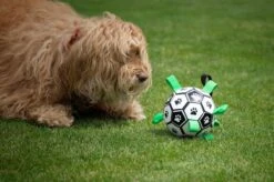 Honden Speelgoed Bal Voetbal Extra Sterk Met Handvaten Ball Hondenbal - 15 Cm - Dutchwide -Huisdier Verkoop 1200x799 26
