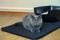 Merkloos Tastelio XXL Kattenbakmat 75x55cm - Groot Kattenbak Mat Met Innovatieve Honingraatstructuur - Dubbele Waterdichte Laag - Katten Bak Mat Met Eenvoudige Reiniging Grit Opvanger 23 Merkloos Tastelio XXL Kattenbakmat 75x55cm - Groot Kattenbak Mat Met Innovatieve Honingraatstructuur - Dubbele Waterdichte Laag - Katten Bak Mat Met Eenvoudige Reiniging Grit Opvanger -Huisdier Verkoop 1200x799 65