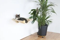 Trixie Hangmat Voor Aan De Muur Beige - 42X41 CM -Huisdier Verkoop 1200x799 67