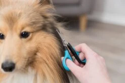 Trixie Gezicht- En Potenschaar Kunststof / Rvs 8 Cm -Huisdier Verkoop 1200x800 11