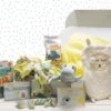 Merkloos Beeztees Puppy Cadeaupakket - Puppy Pakket - Leuke Box Met Puppy Speelgoed En Snacks -Huisdier Verkoop 1200x800 112