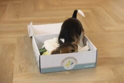 Merkloos Beeztees Puppy Cadeaupakket - Puppy Pakket - Leuke Box Met Puppy Speelgoed En Snacks -Huisdier Verkoop 1200x800 115