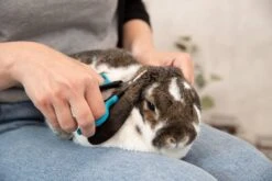 Trixie Gezicht- En Potenschaar Kunststof / Rvs 8 Cm -Huisdier Verkoop 1200x800 13