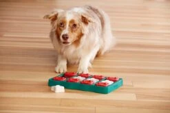 Nina Ottosson - Hondenspel - Dog Brick -Huisdier Verkoop 1200x800 159