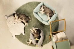 Beeztees Puppy Cosy Doggy - Hondenspeelgoed - Grijs - 120x12x9,5 Cm 9 Beeztees Puppy Cosy Doggy - Hondenspeelgoed - Grijs - 120x12x9,5 Cm -Huisdier Verkoop 1200x800 161