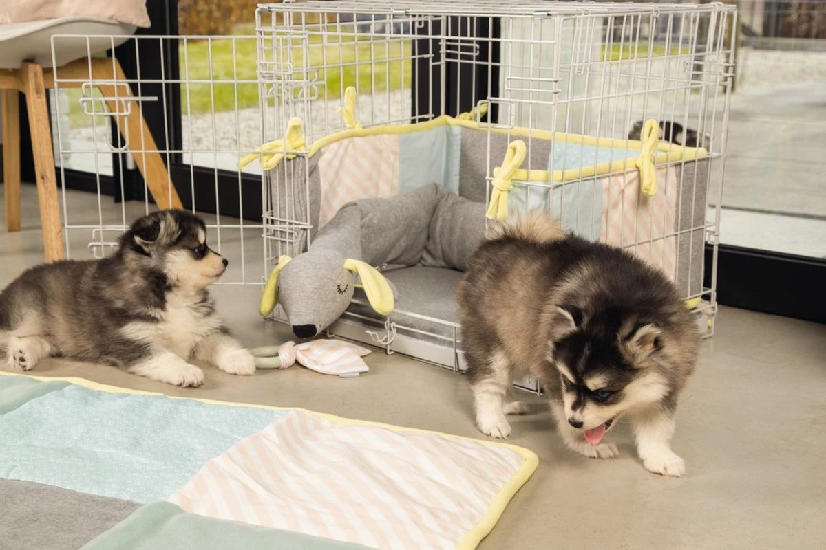 Beeztees Puppy Cosy Doggy - Hondenspeelgoed - Grijs - 120x12x9,5 Cm 6 Beeztees Puppy Cosy Doggy - Hondenspeelgoed - Grijs - 120x12x9,5 Cm - Afbeelding 4